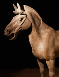 Cavallo dell