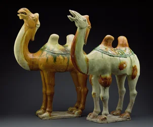 Due cammelli, Dinastia Tang (618-907)