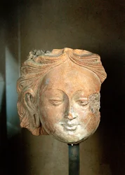 Testa di un grande Bodhisattva