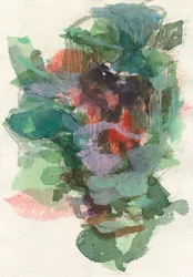 Composizione astratta, Forme organiche/serie di piante, 2021, acquerello, inchiostro, carboncino e gouache su carta acquerellata