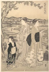 Komachi pappagallo