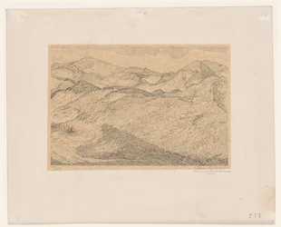 Paesaggio dunale