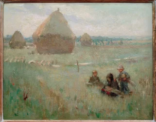 Nel Campo di Fieno