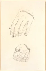 Studi di mani