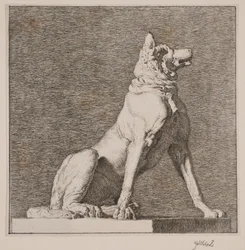 Un cane seduto da un
