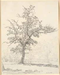 Parte di un giardino