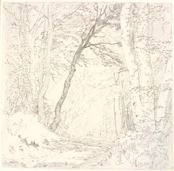 Strada attraverso una foresta