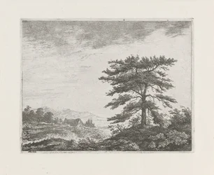 Albero in un paesaggio di brughiera