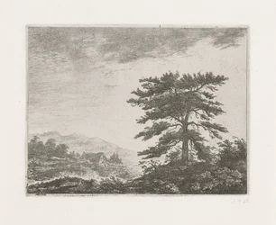 Albero in un paesaggio di brughiera