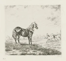 Paesaggio con tre cavalli
