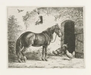 Cavallo con cavezza