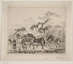 Cavalli da scuderia