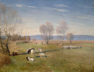 Paesaggio con pecore