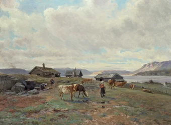Atmosfera mattutina a Holmvassbu