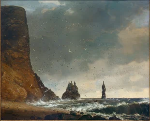 Paesaggio costiero roccioso in Islanda