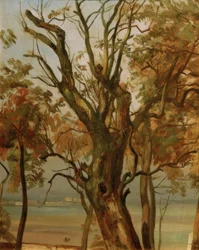 Studio di un albero in autunno (Riva dell