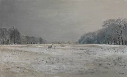 Cervi nella neve - Richmond Park, 2015