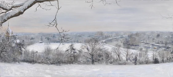 Diamanti bianchi Richmond Hill neve, 2015