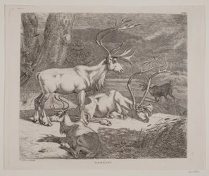 Renna