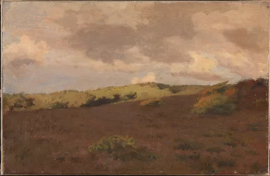 Paesaggio di brughiera. Autunno