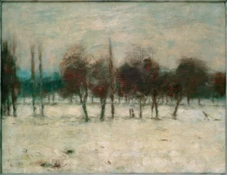 Alberi da frutto nella neve