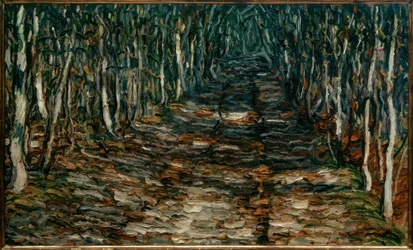 Sentiero nel bosco verso Erling