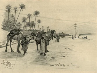 Conduttori di cammelli sulle rive del Nilo ad Assuan, Egitto, 1898