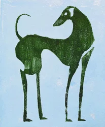 Elegante cane del deserto