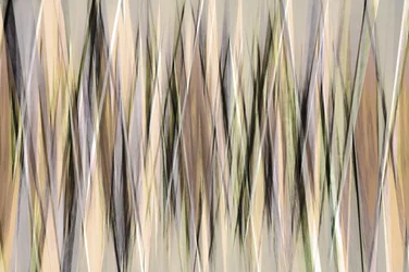 Linee terrene astratte