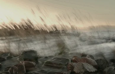 Un movimento costiero da sogno