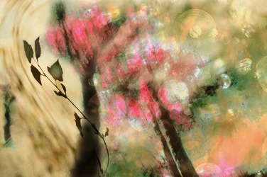 Fogliame rosa da sogno
