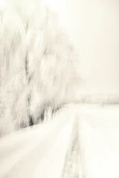 Sentiero invernale da sogno