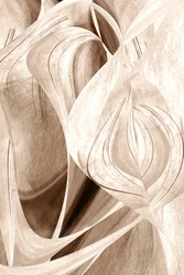 Curve eleganti e sinuose