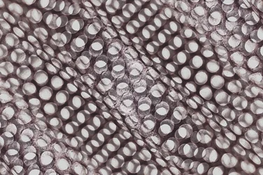 Gioco di ombre geometrico