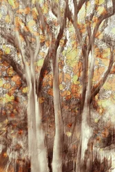 Foresta d
