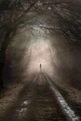 Figura solitaria, sentiero avvolto nella nebbia