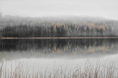 Il lago autunnale avvolto nella nebbia