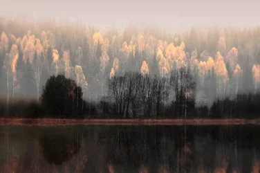 Riflessi autunnali nella nebbia
