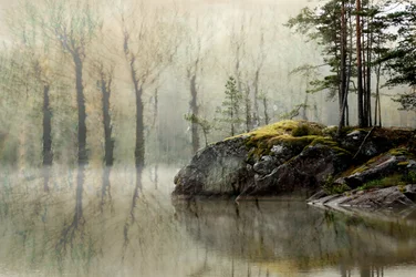 Il lago della foresta nebbiosa