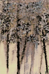 Riflessioni sulla foresta di Moody
