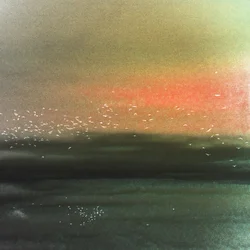 Uccelli marini e cielo rosso