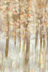 Morbida luce autunnale
