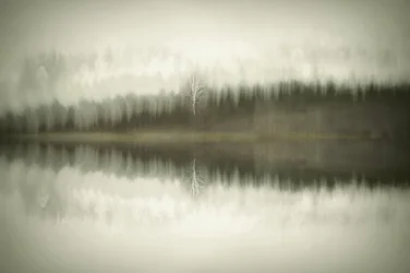 Il lago Solitary Birch