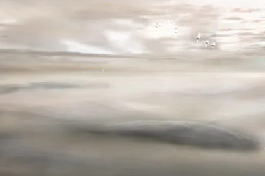 Canto del cigno nella nebbia