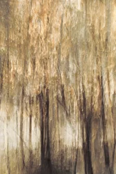 Il movimento della foresta tranquilla