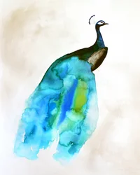 Pavone fluido blu-verde