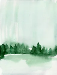 Il lago della foresta nebbiosa
