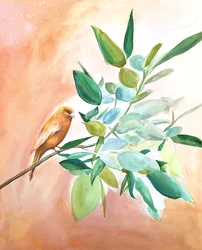 Filiale Orange Bird