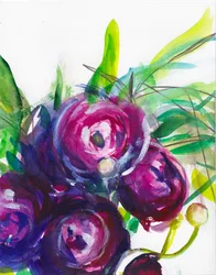 Mazzo di ranuncoli viola