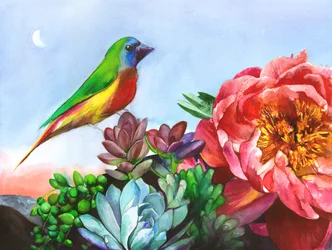 Giardino di peonie "Vibrant Bird"